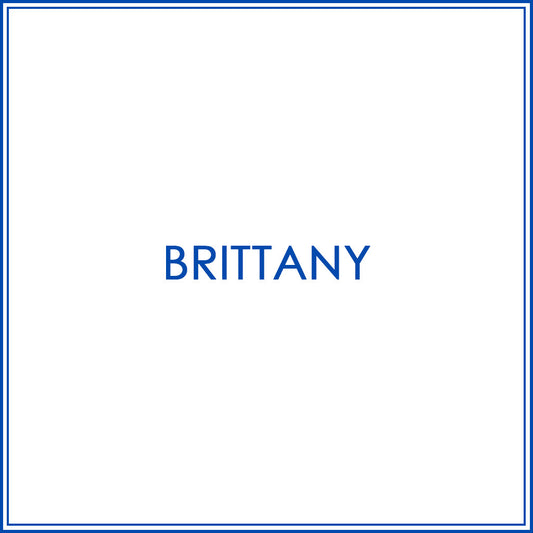 BlueJose Darts Custom Shirt For Brittany