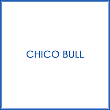 BlueJose Billiards Shirt For Chico Bull