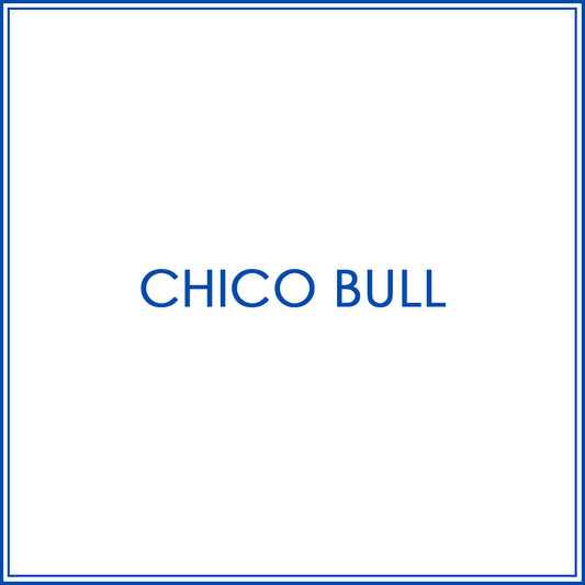 BlueJose Billiards Shirt For Chico Bull