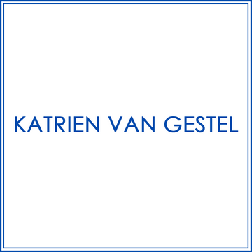 BlueJose Custom Darts Shirt For Katrien Van Gestel