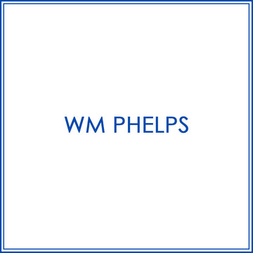 BlueJose Custom Darts Shoes For Wm Phelps